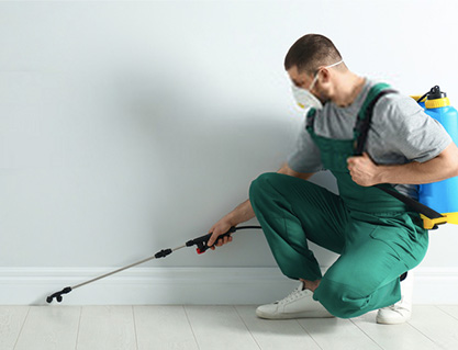 Pest Control Shoreham Services